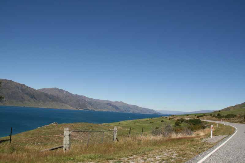Nieuw-Zeeland 2011 - 1599